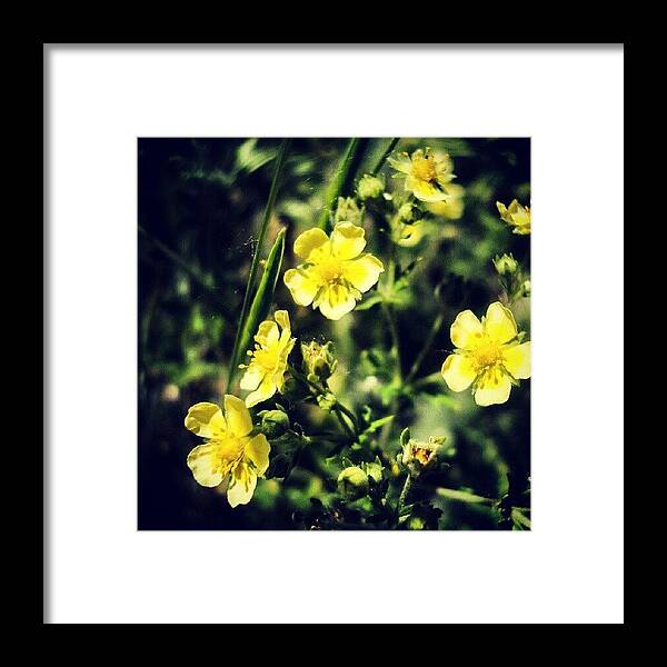Beautiful Framed Print featuring the photograph #instamood #instagood #bestagram #173 by Taras Paholiuk