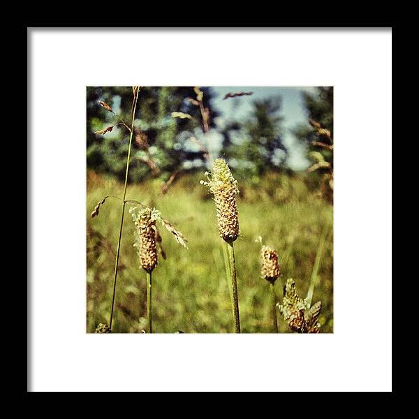 Beautiful Framed Print featuring the photograph #instamood #instagood #bestagram #176 by Taras Paholiuk