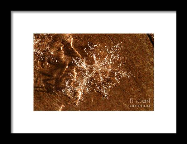 Snowflake Framed Print featuring the photograph Snowflake #18 by Ted Kinsman