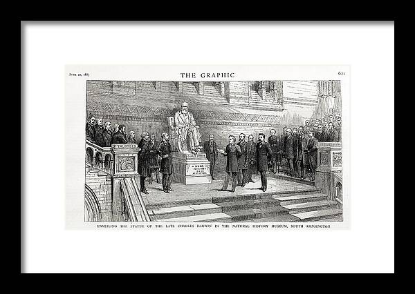 British Framed Print featuring the photograph 1885 Natural History Museum Statue Darwin by Paul D Stewart