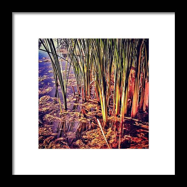 Love Framed Print featuring the photograph Instagram Photo #191340067479 by Pete Michaud