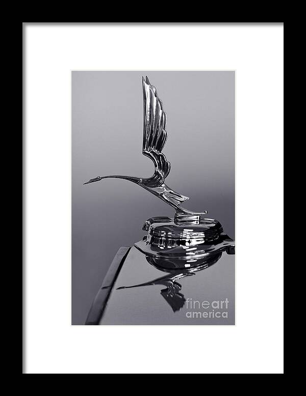 Classic Automobile Framed Print featuring the photograph 1931 Cadillac Ornament by Dennis Hedberg