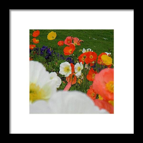 Beautiful Framed Print featuring the photograph At Memorial Park #2 by Fernanda Fontenelle