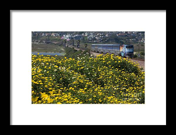 Wildflowers Framed Print featuring the photograph California wildflowers #2 by Daniel Knighton