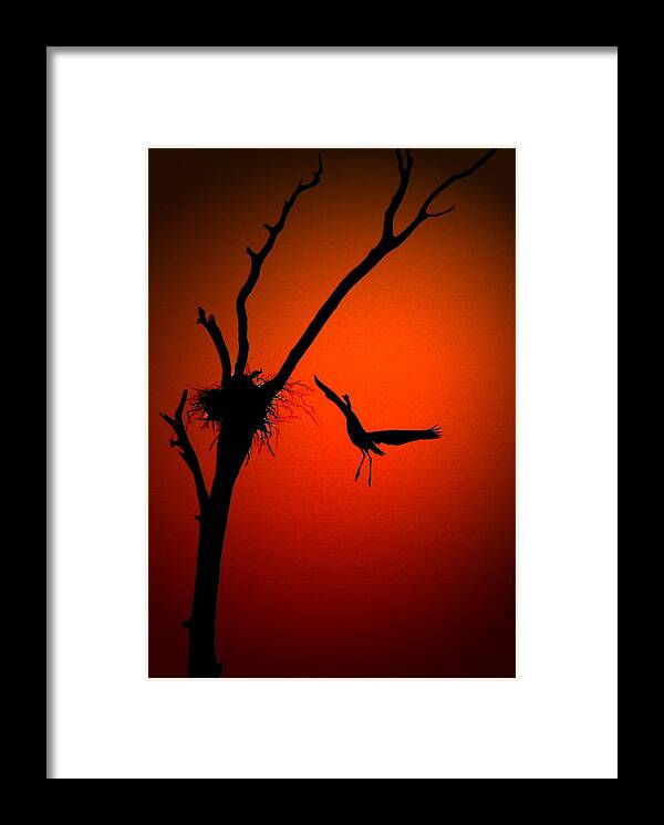 Heron Framed Print featuring the digital art Coming Home #2 by Carrie OBrien Sibley