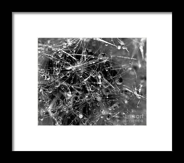 Drops Framed Print featuring the photograph Drops #2 by Sylvie Leandre