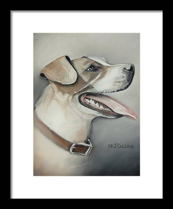 Pit Bull Framed Print featuring the pastel George by J L Collins