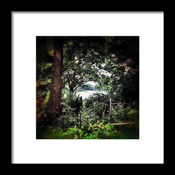 Photooftheday Framed Print featuring the photograph Peek-a-boo #2 by Natasha Marco