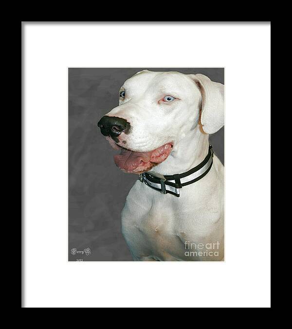 Dog Framed Print featuring the photograph Shelter Dogs #2 by Terry Burgess