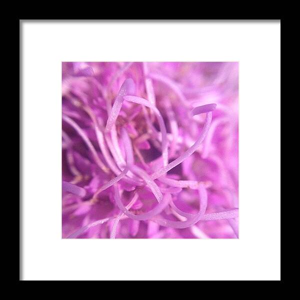Beautiful Framed Print featuring the photograph #instagoodr #tweegram #photooftheday #20 by Mike Meissner