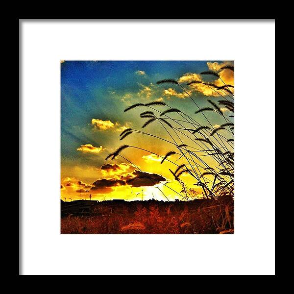 Webstagram Framed Print featuring the photograph #22 by Morley🇯🇵♂ もーりー∞♂