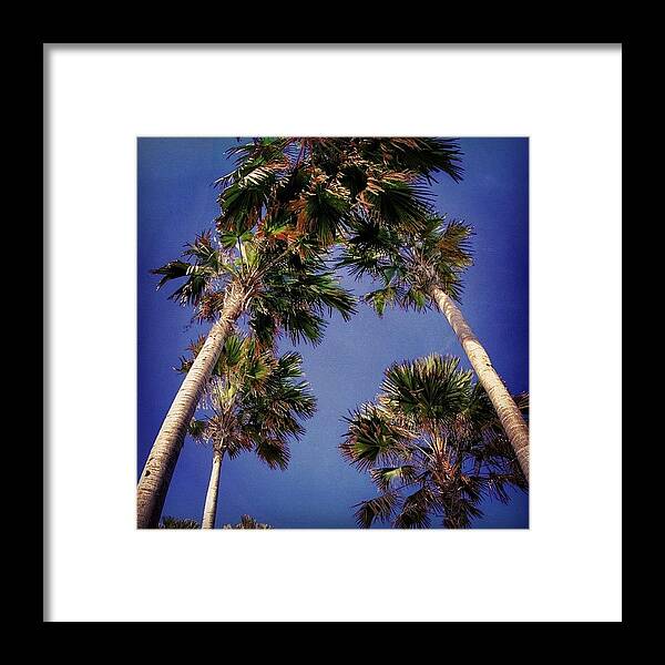  Framed Print featuring the photograph Instagram Photo #261342602309 by Tommy Tjahjono