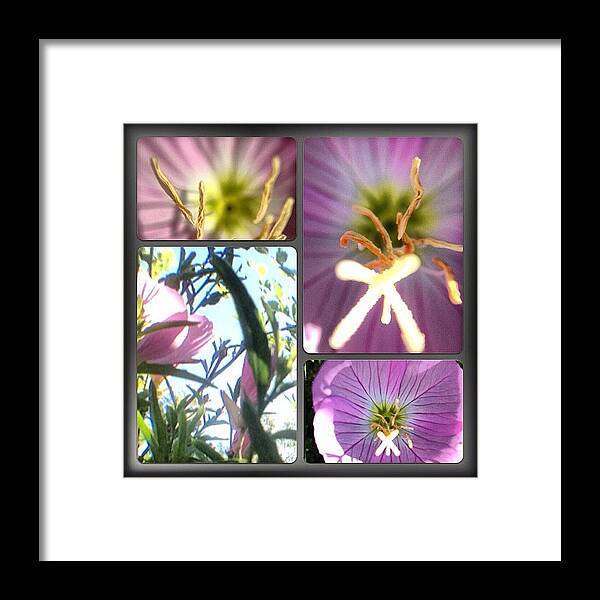 Me Framed Print featuring the photograph #instagoodr #tweegram #photooftheday #27 by Mike Meissner