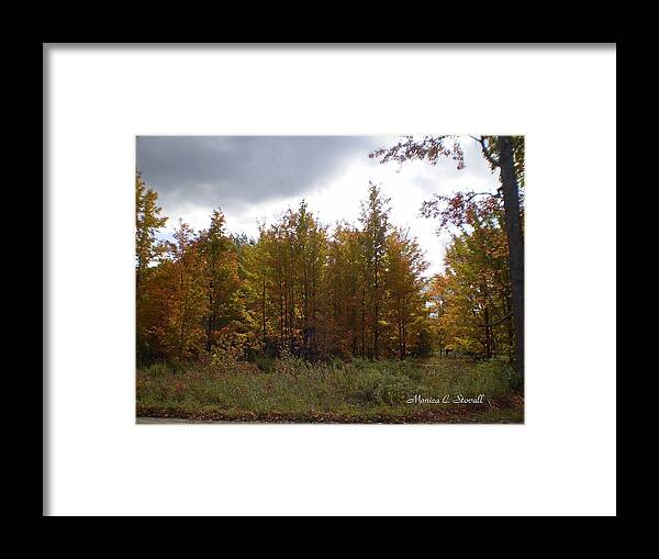  Framed Print featuring the photograph Fall Colors Collection - Michigan #3 by Monica C Stovall