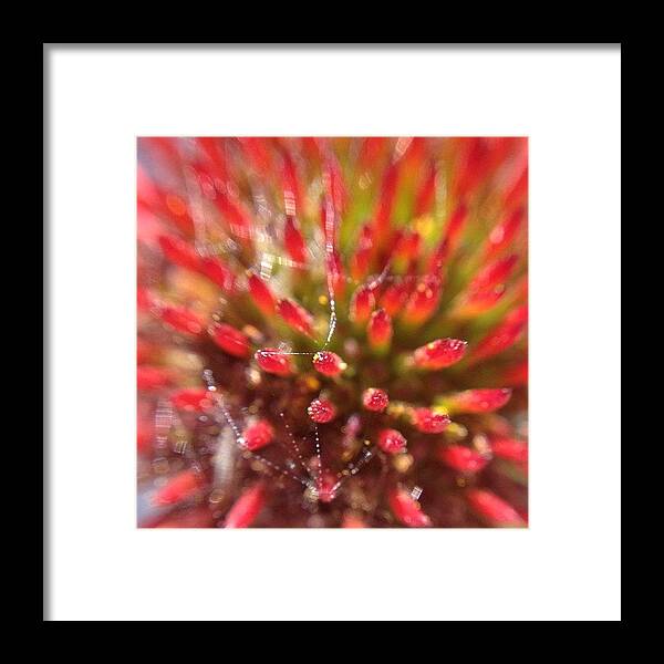 Beautiful Framed Print featuring the photograph #instagood #tweegram #photooftheday #3 by Mike Meissner