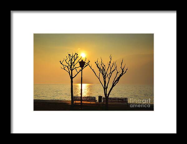 Tree Framed Print featuring the photograph Sunlight over a lake #3 by Mats Silvan
