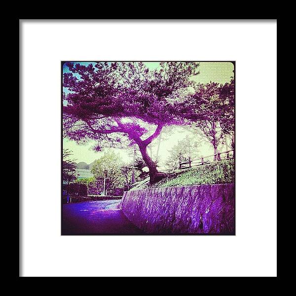 Beautiful Framed Print featuring the photograph #tree #trees #leaves #ilovebaretrees #3 by Julianna Rivera-Perruccio