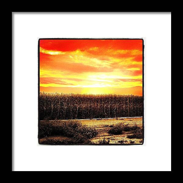 Beautiful Framed Print featuring the photograph This Photo Is Available In My #31 by Rick Annette