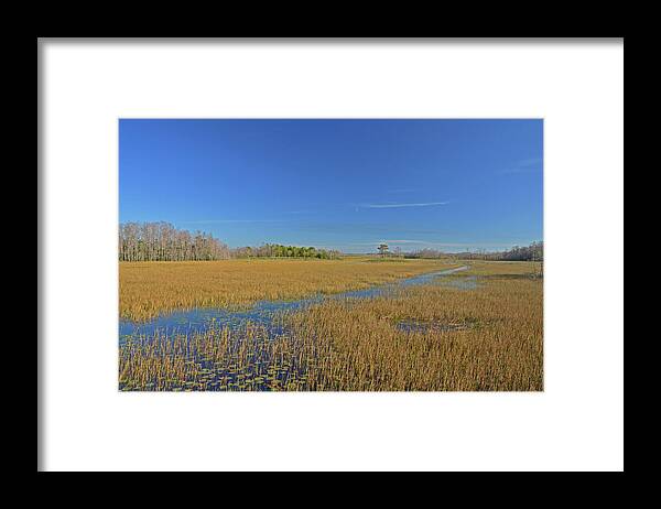  Framed Print featuring the photograph 35- Grassy Waters by Joseph Keane