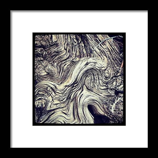 Beautiful Framed Print featuring the photograph #instagoodr #tweegram #photooftheday #37 by Mike Meissner