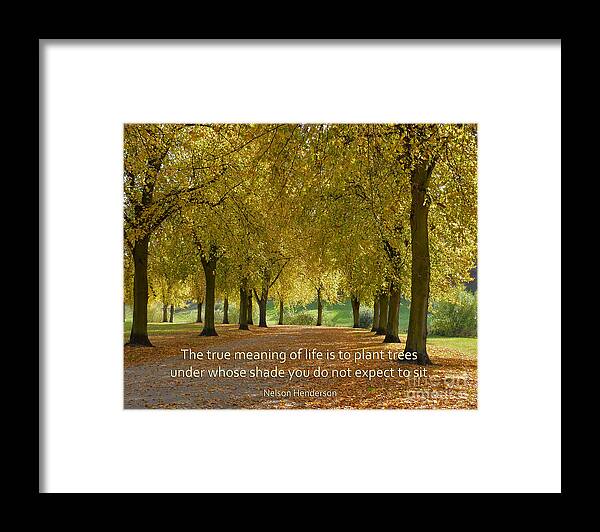  Framed Print featuring the photograph 38- Plant Trees by Joseph Keane