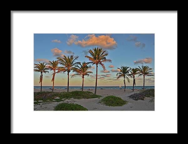 Palm Trees Framed Print featuring the photograph 39- Evening In Paradise by Joseph Keane