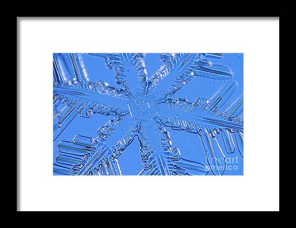 Snowflake Framed Print featuring the photograph Snowflake #39 by Ted Kinsman