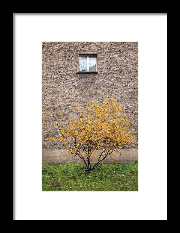 Berlin Framed Print featuring the photograph Berlin #4 by David Harding