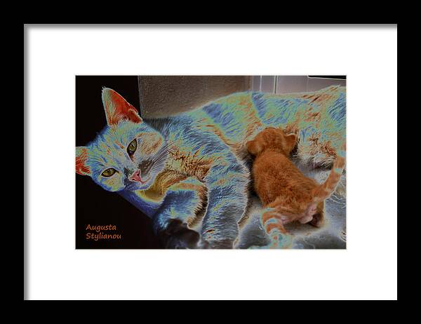 Augusta Stylianou Framed Print featuring the digital art Cat Maternity #3 by Augusta Stylianou