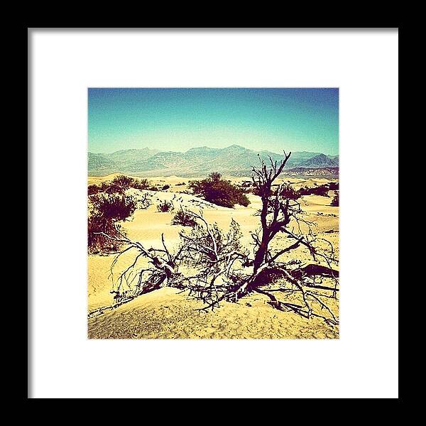  Framed Print featuring the photograph Death Valley #4 by Luisa Azzolini