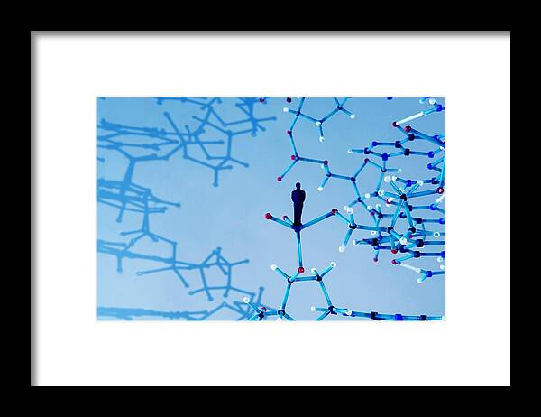 Dna Framed Print featuring the photograph Human Genome, Conceptual Image #4 by Lawrence Lawry