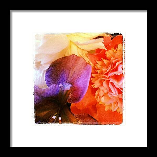  Framed Print featuring the photograph Instagram Photo #411340240401 by Lori Walter