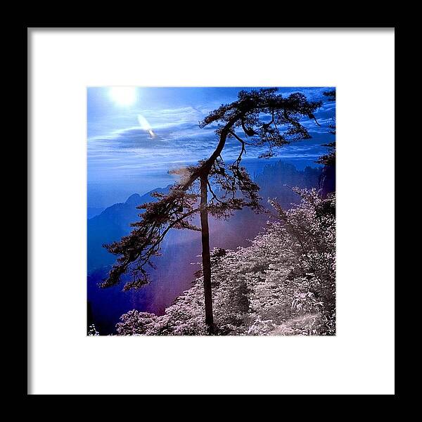  Framed Print featuring the photograph Instagram Photo #41342602569 by Tommy Tjahjono