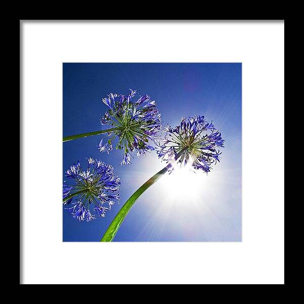 Beautiful Framed Print featuring the photograph Instagram Photo #421345630619 by Tommy Tjahjono