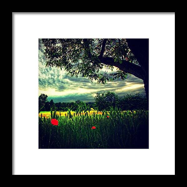 Beautiful Framed Print featuring the photograph Instagram Photo #431341336929 by Zaman Own