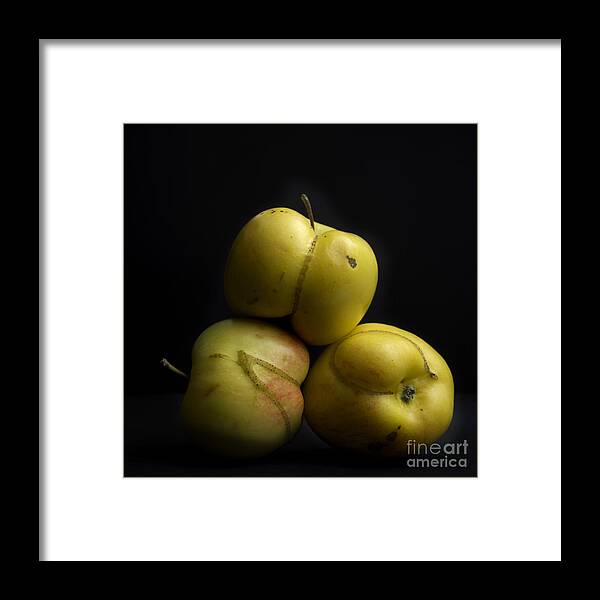 Agriculture Framed Print featuring the photograph Apples #5 by Bernard Jaubert