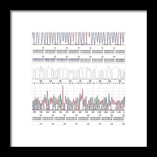 Analysing Framed Print featuring the photograph Dna Analysis #5 by Kevin Curtis