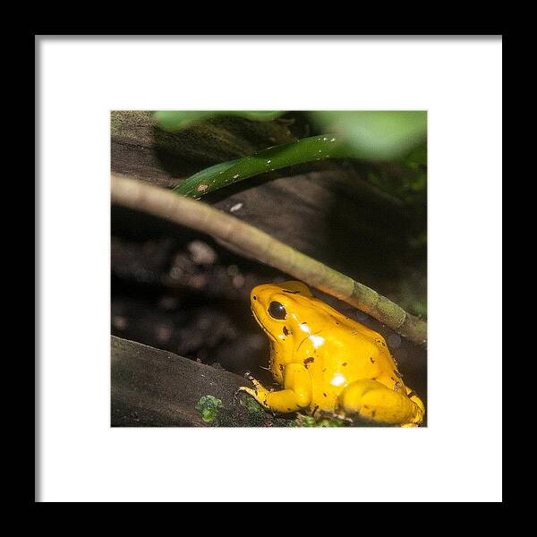 Beautiful Framed Print featuring the photograph Instagram Photo #551346896255 by Richard Gould