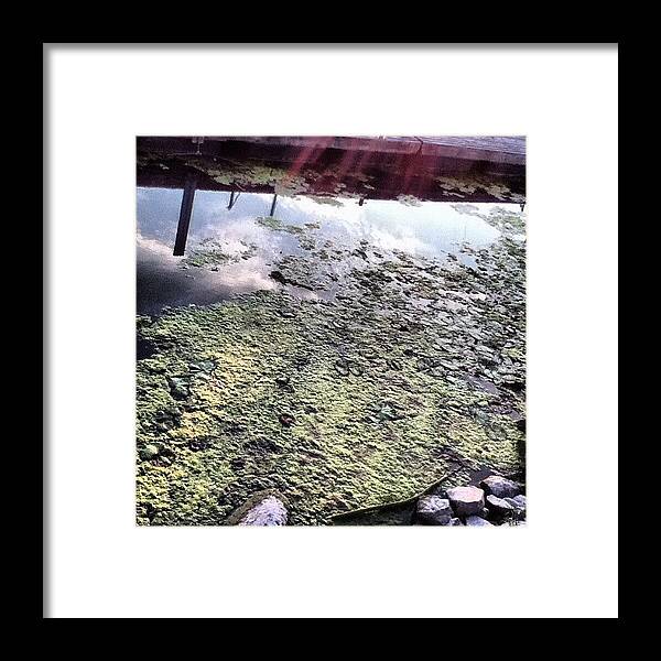 Beautiful Framed Print featuring the photograph #6 by Aaron Dias