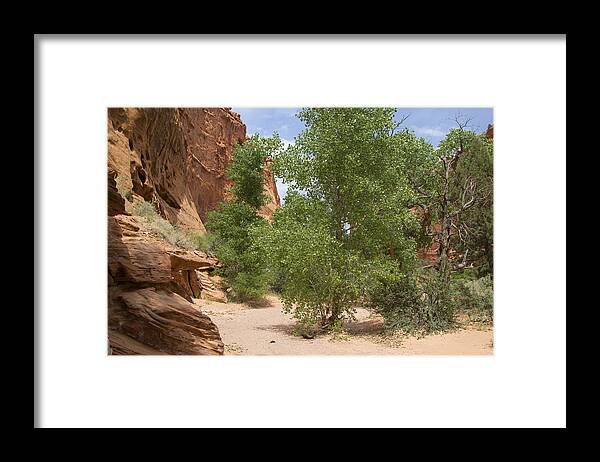 Capitol Reef National Park Framed Print featuring the photograph Capitol Reef National Park #663 by Mark Smith