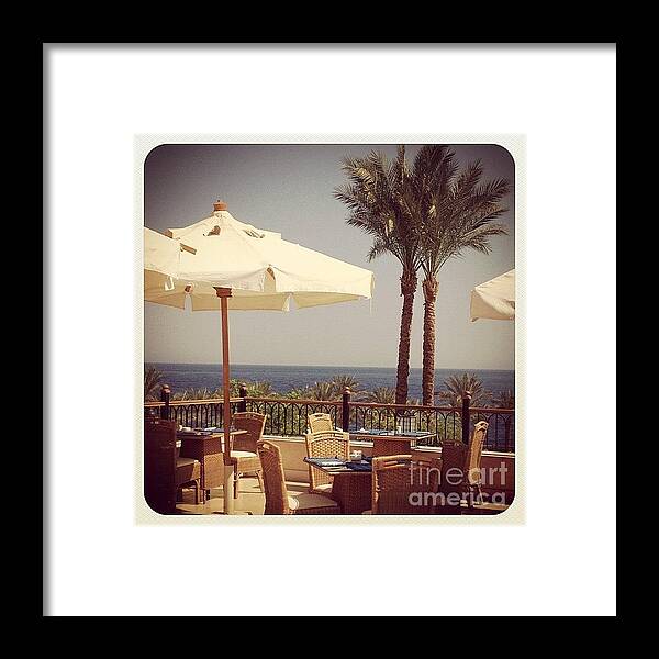  Framed Print featuring the photograph Instagram Photo #701352148226 by Jane Rix