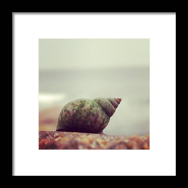 Popularpic Framed Print featuring the photograph Instagram Photo #81340114697 by Ippe Fifty