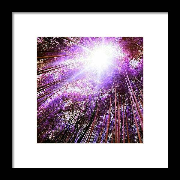 Beautiful Framed Print featuring the photograph Instagram Photo #821341336971 by Zaman Own