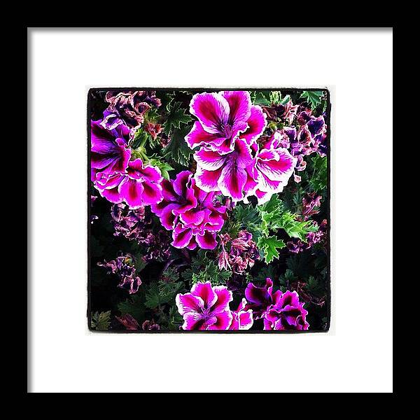 Beautiful Framed Print featuring the photograph #instamood #instagood #iphoneonly #88 by Rick Annette