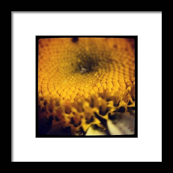 Beautiful Framed Print featuring the photograph #flowerpower #flower #flowers #9 by Mike Meissner