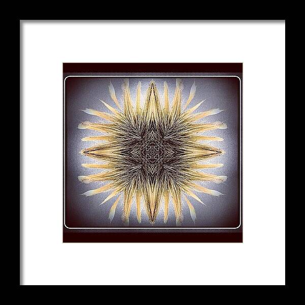 Beautiful Framed Print featuring the photograph #tagstagram .com #abstract #symmetry #94 by Dan Coyne