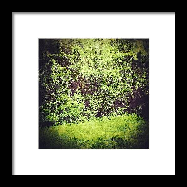 Cute Framed Print featuring the photograph Instagram Photo #991344227194 by Josue Garcia