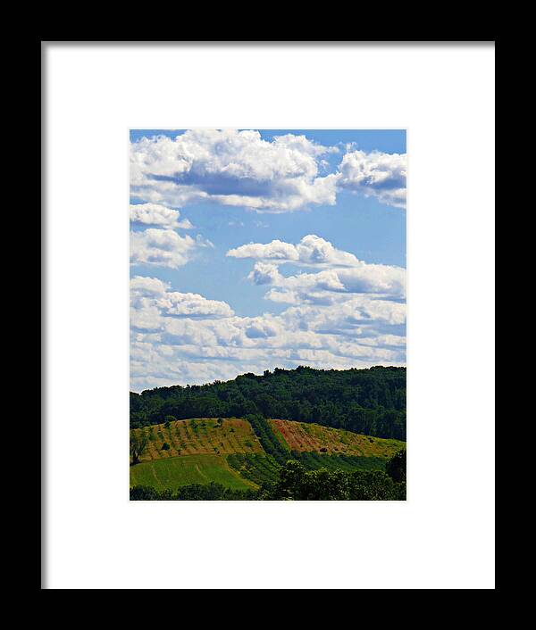 Nature Framed Print featuring the photograph A Beautiful Day by Dark Whimsy
