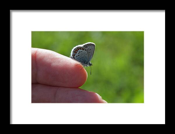 Butterfly Framed Print featuring the photograph A Butterfly on the finger by Ulrich Kunst And Bettina Scheidulin