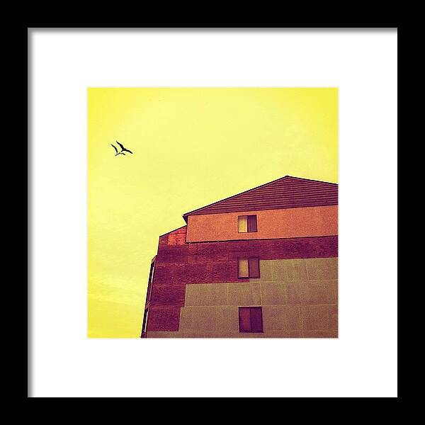 Sky Framed Print featuring the photograph A Flight In The Right Direction by Amy DiPasquale